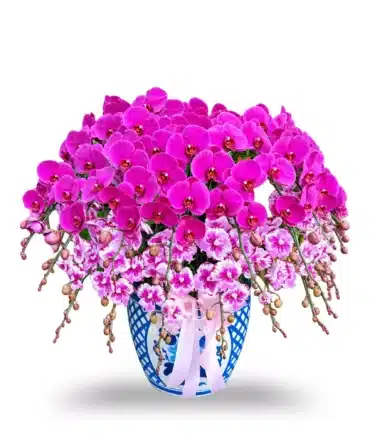 rangkaian anggrek pink ungu Jakarta